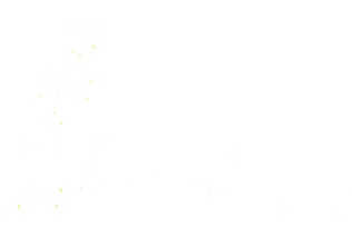API