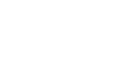 ROAIIB